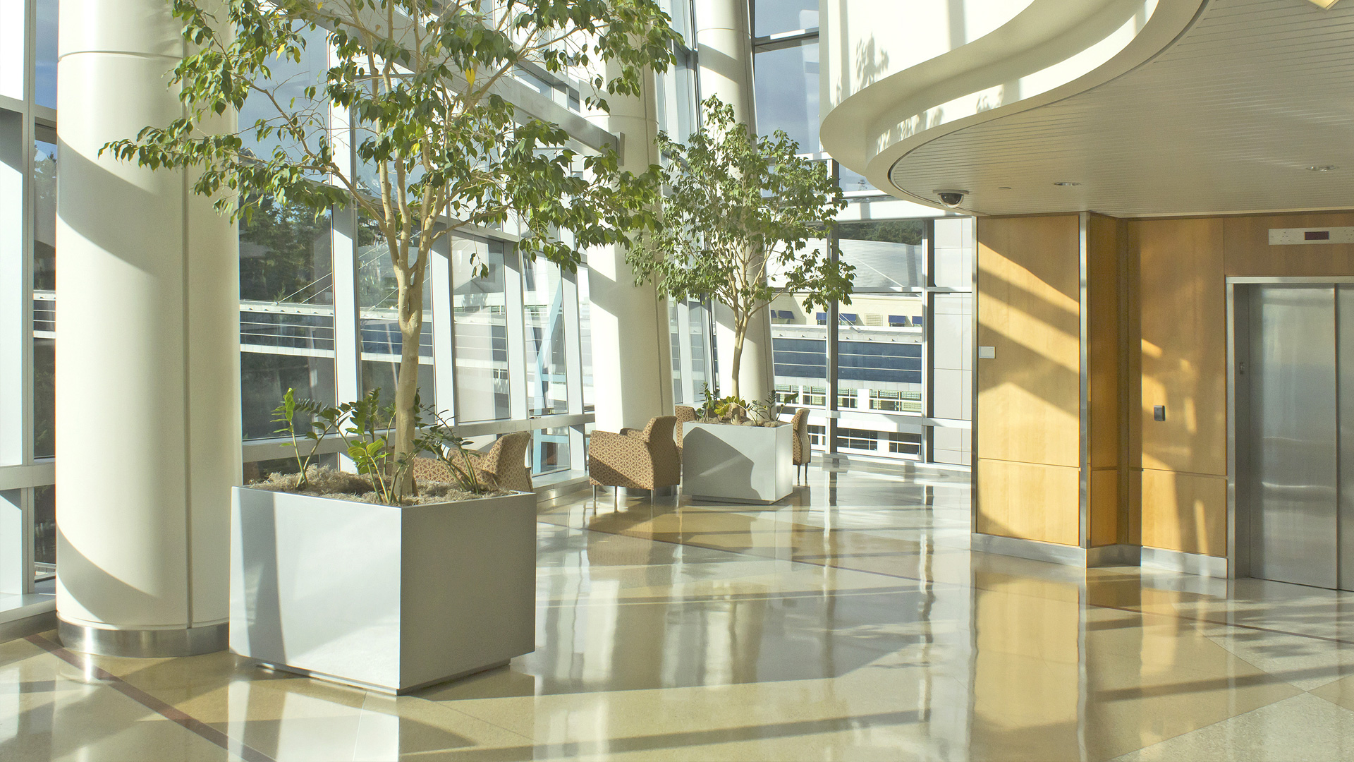 interior view of a luxurious commercial real estate property with trees planted in an eco-friendly lobby